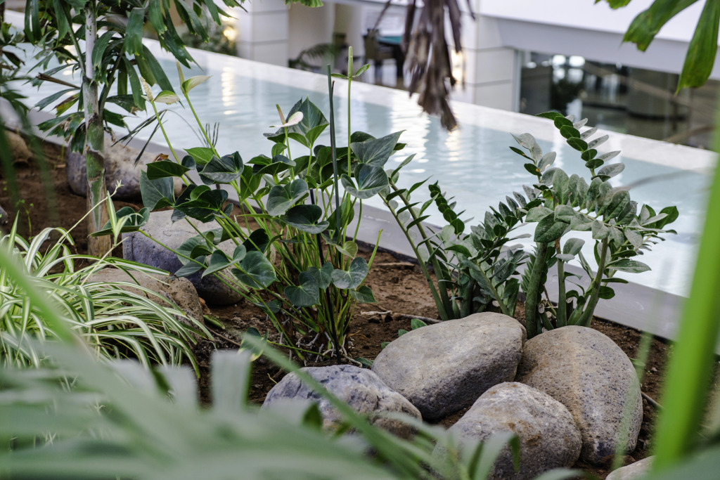 Spring Hotel Vulcano