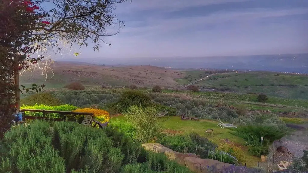 בקצה הכנרת