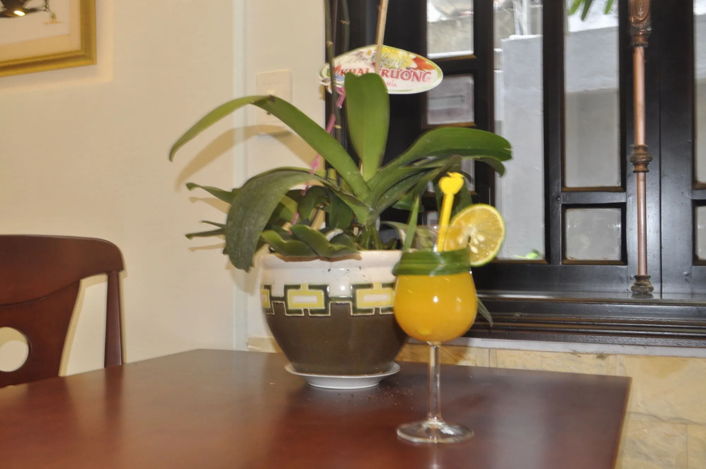 Green CoCo HomeStay