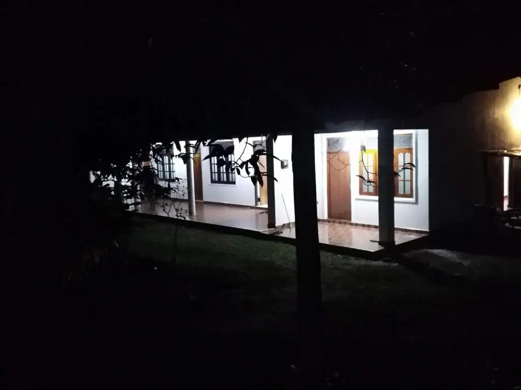 Deer Garden Guest