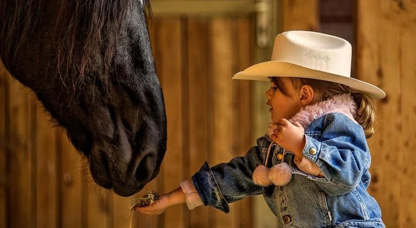 El Bronco Western Ranch