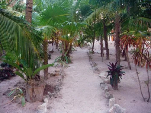 Azucar Hotel Tulum