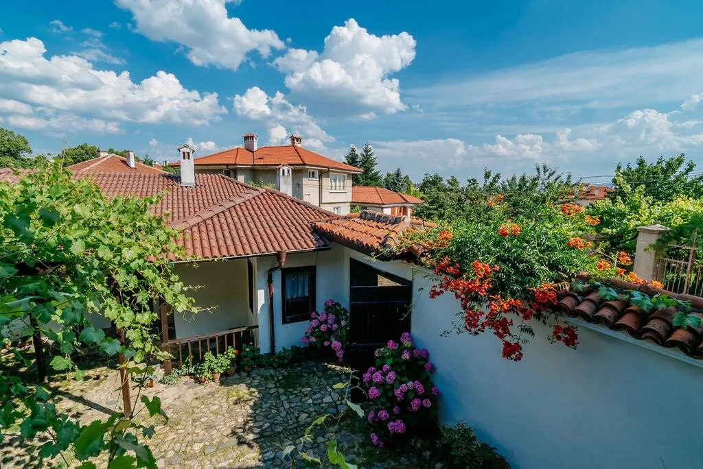 The Zoev House