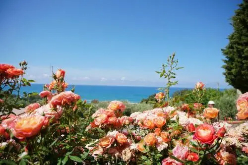 Residence San Salvatore