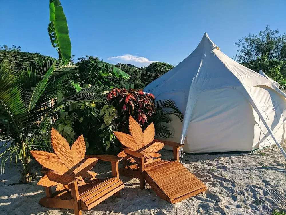 Wild Lotus Camp