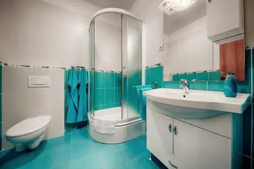 Apartments and Rooms Dis