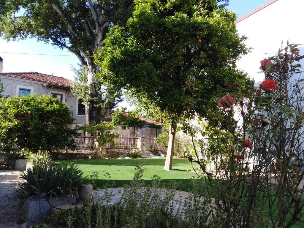 Epavli Sofia' s two Apartments in Horto, 30m from the sea