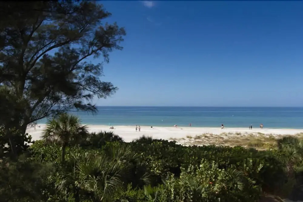 Gulf Sands 201
