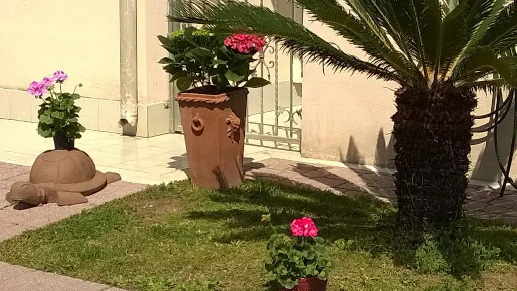 B&B Il Vialetto
