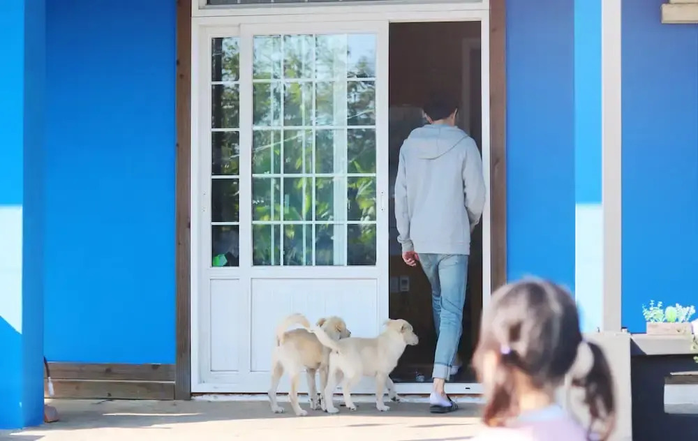Jeju Soup Guesthouse - Hostel