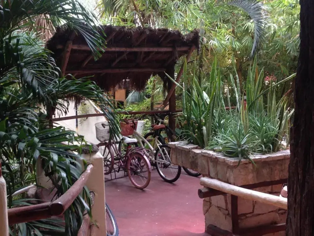 One Bedroom Apt In The Heart Of Playa Only One Block to the Beach!