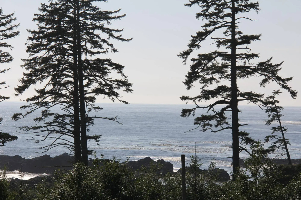 Wild Pacific Retreat