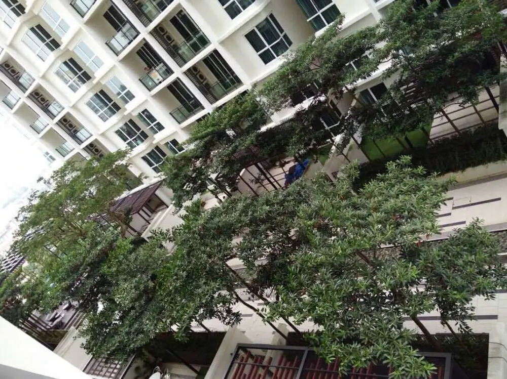 TMS Apartment