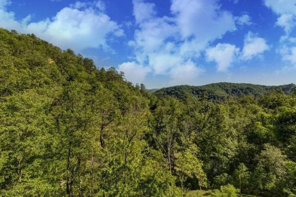 Grand View Lodge - 10 Br Home