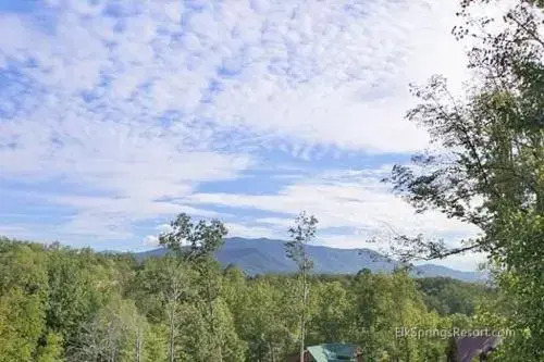 Amazing Views Theater Hot Tub Game Room