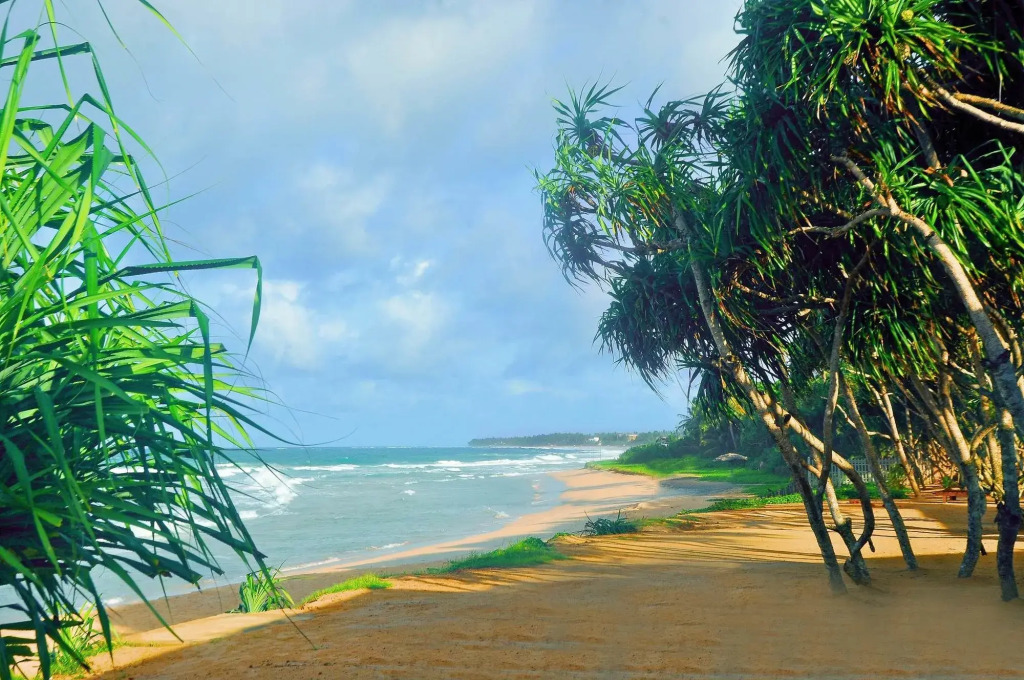 The Beach Cabanas Retreat & Spa