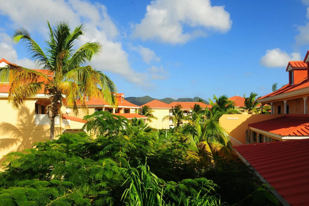 Flamboyant - Le Village