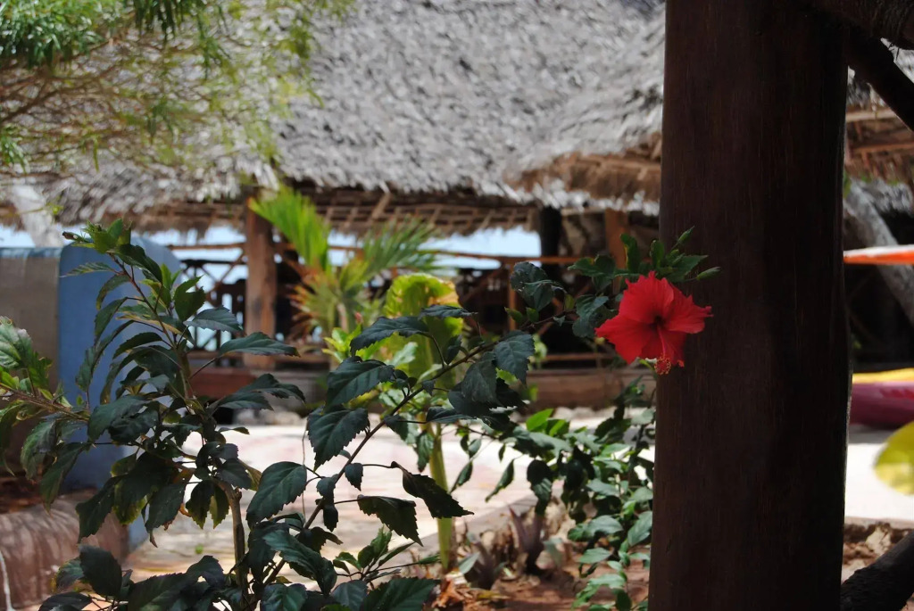 Blu Marlin Village