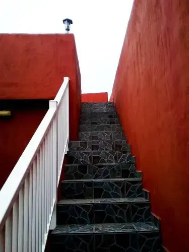Apartamentos Trebol