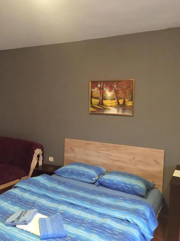 Apartment Viktor 2 stan na dan
