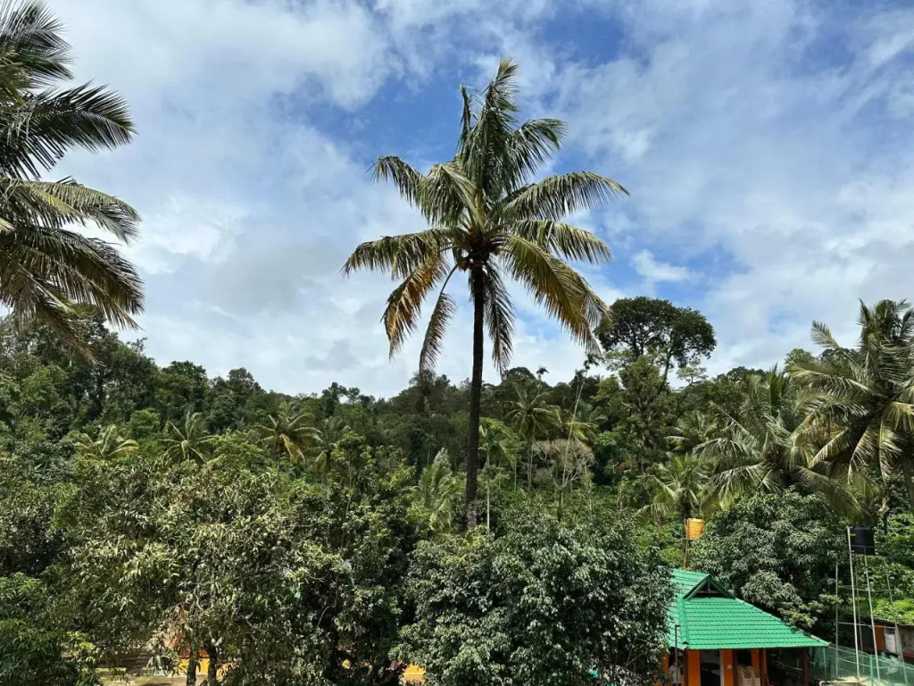 Sherlock Jungle Retreat
