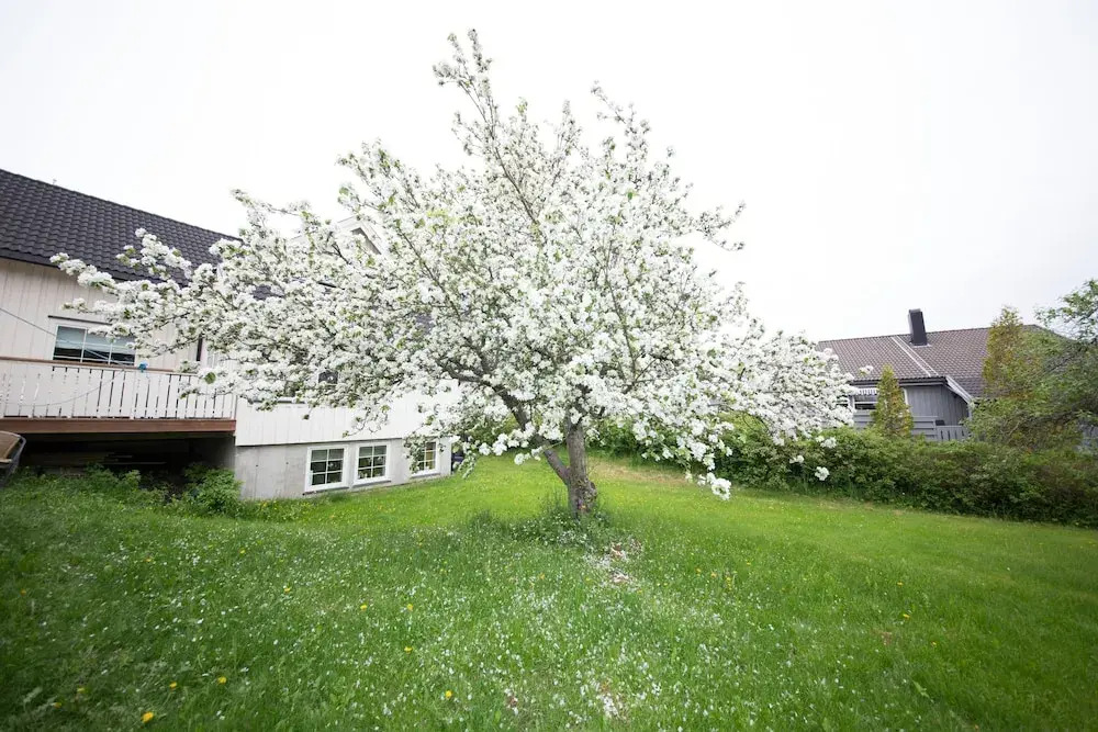 Apartment at Ranheim
