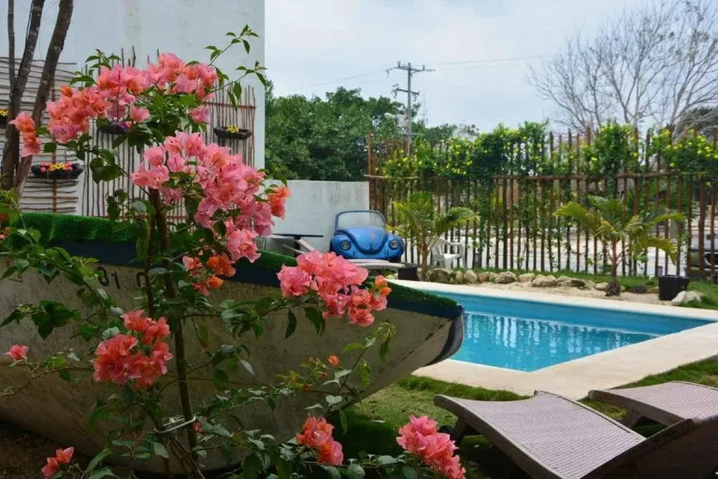 Lory House