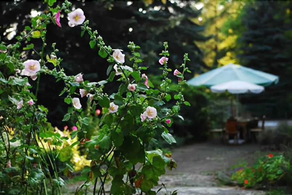 Ayur Garden Lanckorona