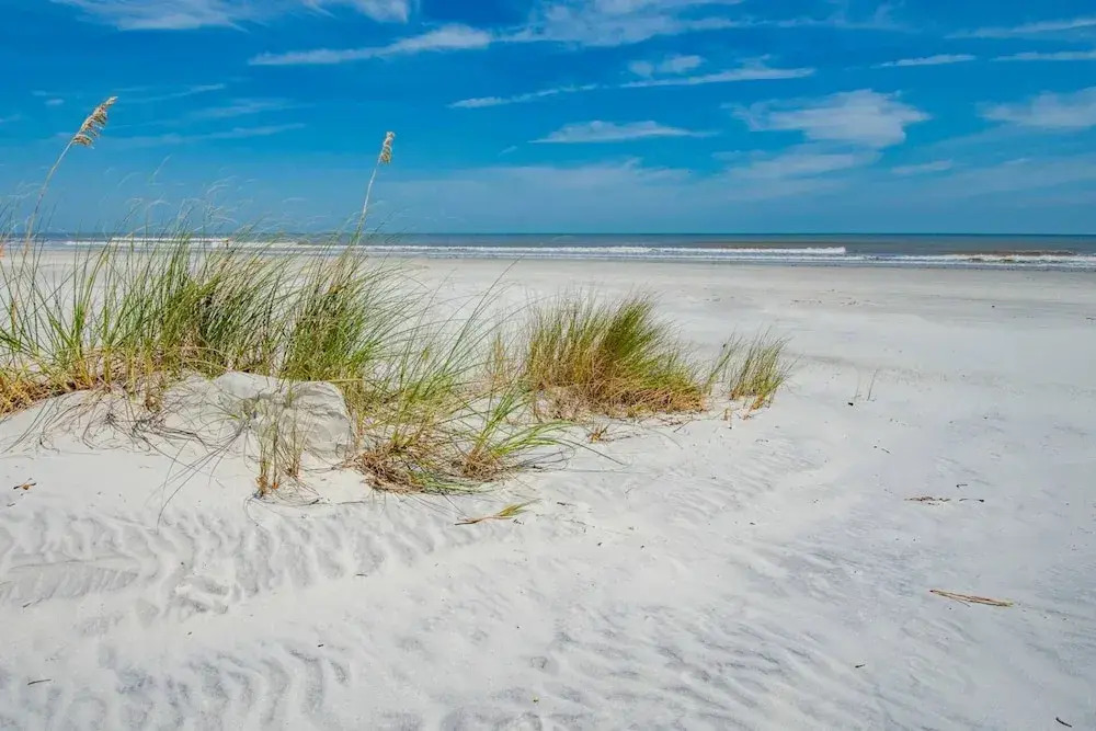 Ocean Reef #102