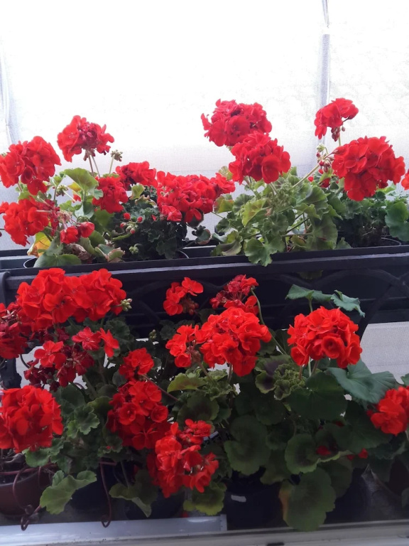 B&B a le Boteghe