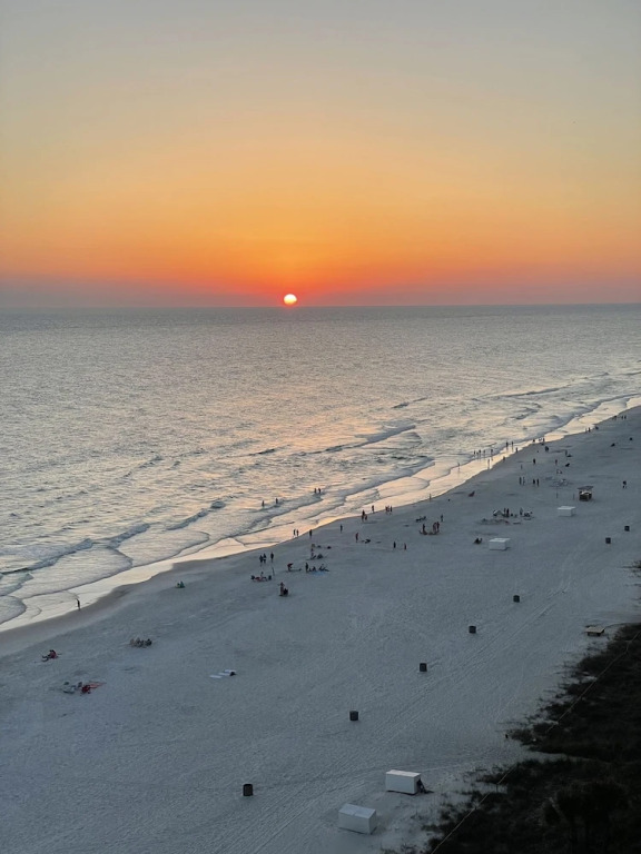 Long Beach Tower 3, #1303 - Completely Renovated 2 Bedroom . 2 Condo by RedAwning