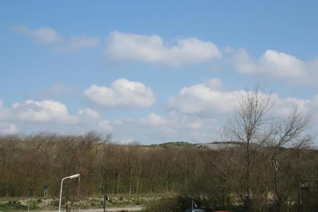 Schorrebloem 1