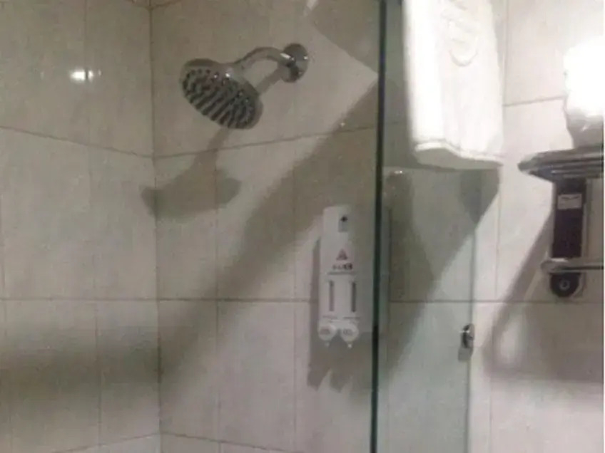 GreenTree Inn Dalian Airport Express Hotel