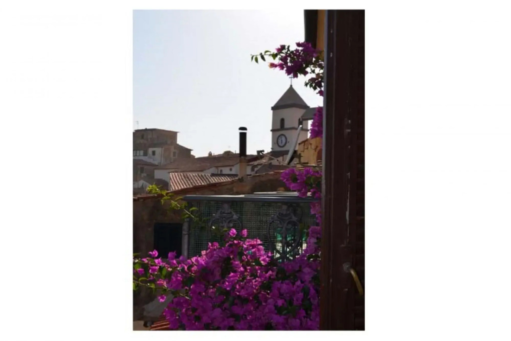 In front of the terrace Capoliveri, very quaint and cozy-IL RIFUGIO