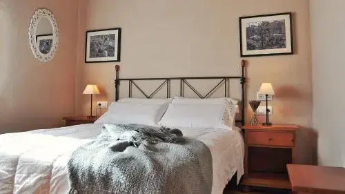Casa Rural Cirerer