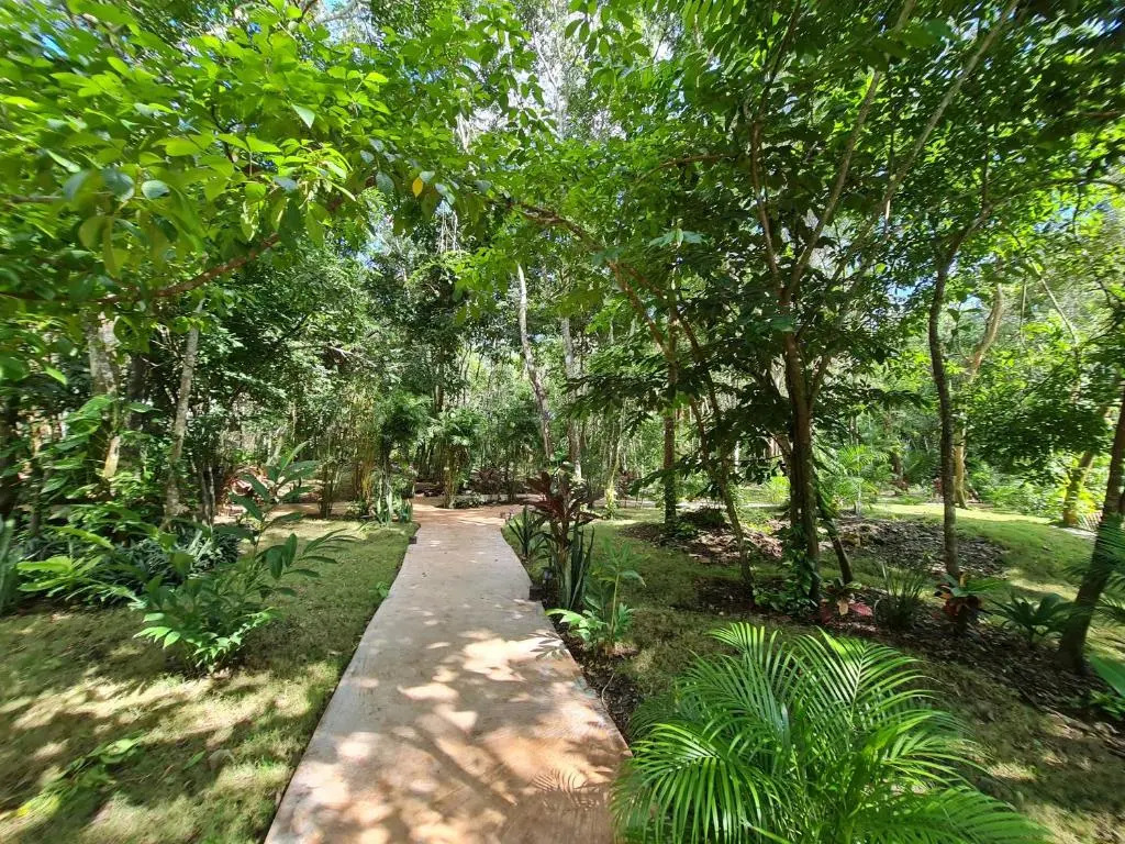 Secret Gardens Bacalar Suite 01 con alberca y bicicletas