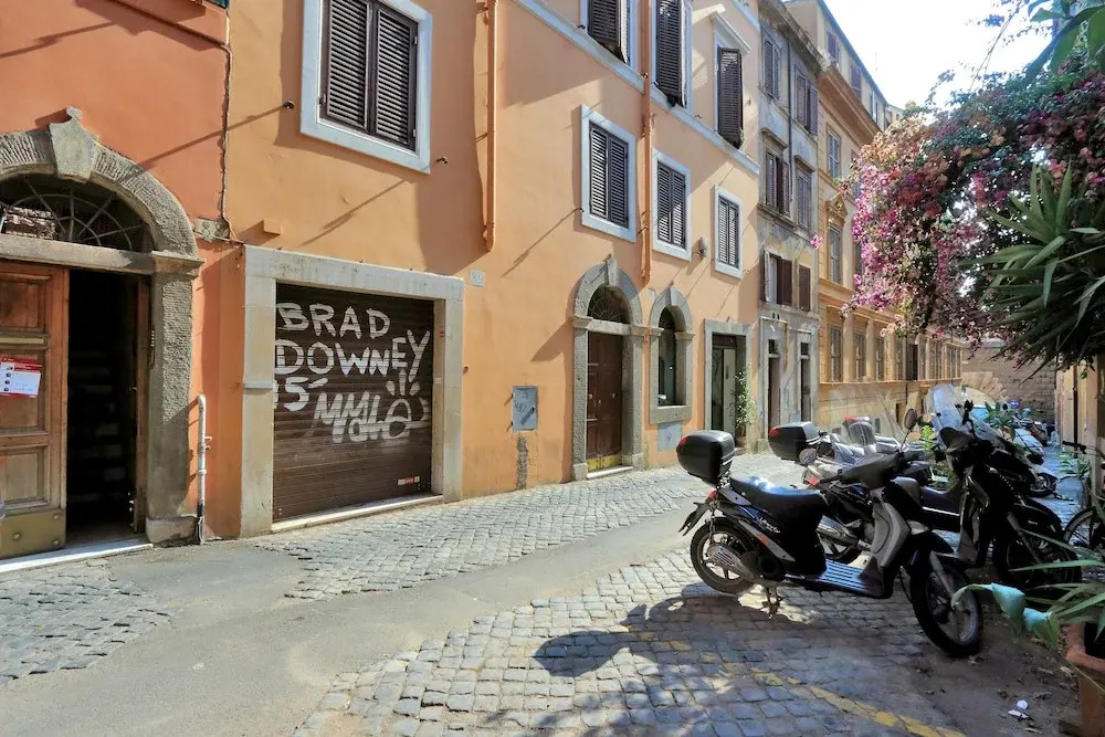 Baccina 88