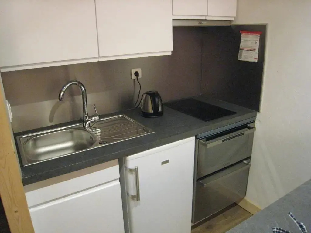 Appartement La Clusaz, 1 pièce, 4 personnes - FR-1-459-62
