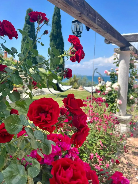 SunVilla