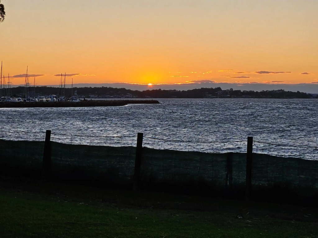 Dolphin Shores