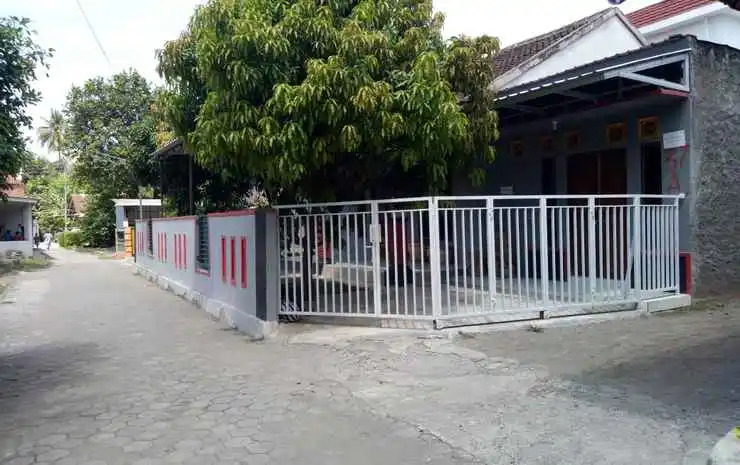 Omahkost Putih Medina 37
