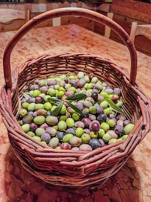 Casa in Bioedilizia con Bio Piscina Naturale   Ai Due Gelsi