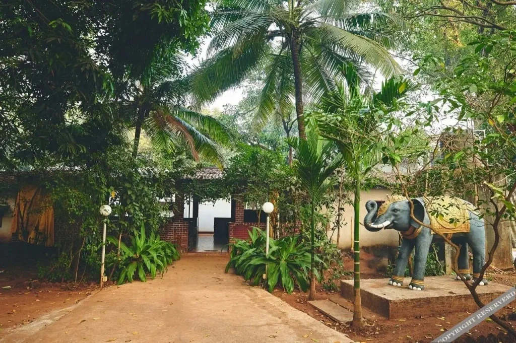 Natures Nest Resort