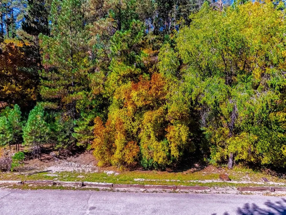Canyon Creek Lodge 218