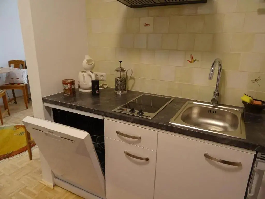 Homely Apartment in the Center with Garden View