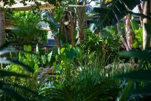 D'urbanmist Guest House