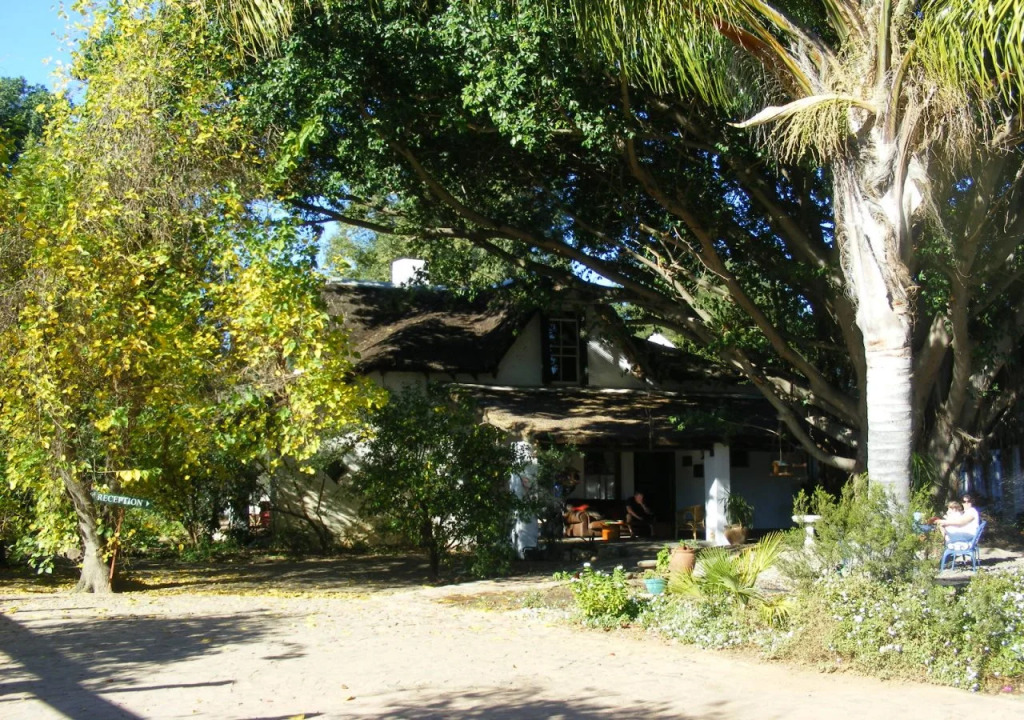 Saint du Barrys