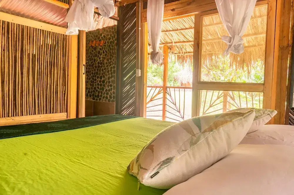Magic Greeen Tayrona