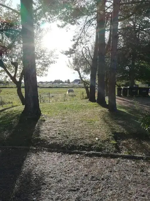 L'appart de Blonville à 250m de la plage