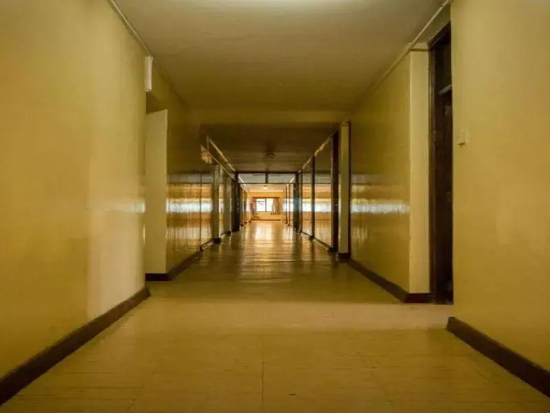 Meru Safari Hotel